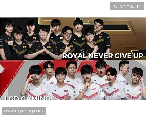 深入分析WE与RNG赛后复盘揭示的比赛节奏与战略变化